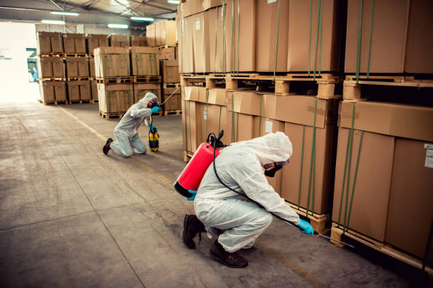 Best Pest Inspection Near Me  in Paonia, CO