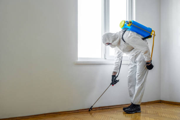 Best Pest Removal Services  in Paonia, CO