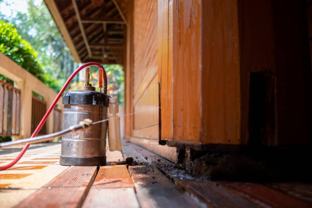 Best Affordable Pest Control Services  in Paonia, CO