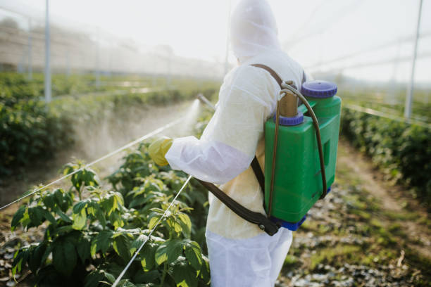 Best Pest Removal Services  in Paonia, CO